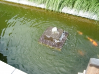 aanleg Oeselgem (9)
